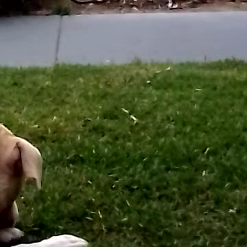 🧡💛💚 À toute à l'heure!