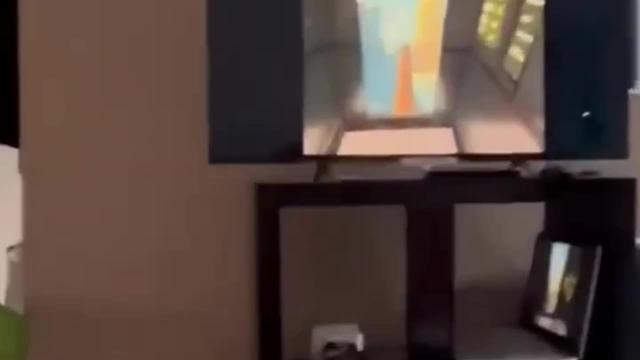 Funny video 2023