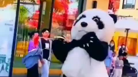 Funny panda video sounds