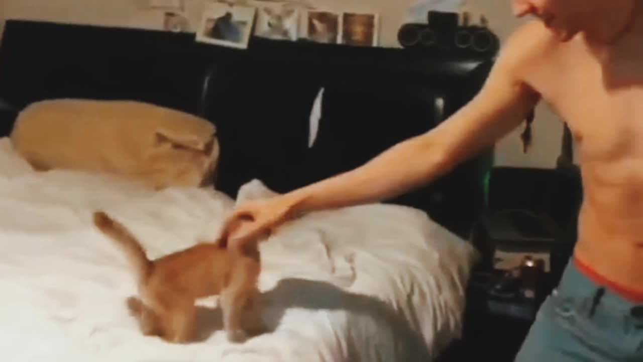 Not seen before this awesome video of these cutest pets 😍