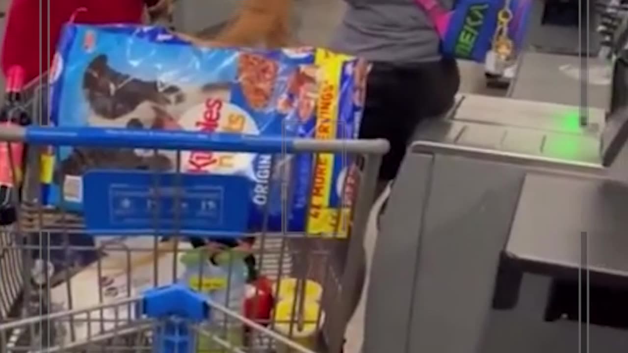 Grocery Store Karen causes a COMMOTION after cutting the line