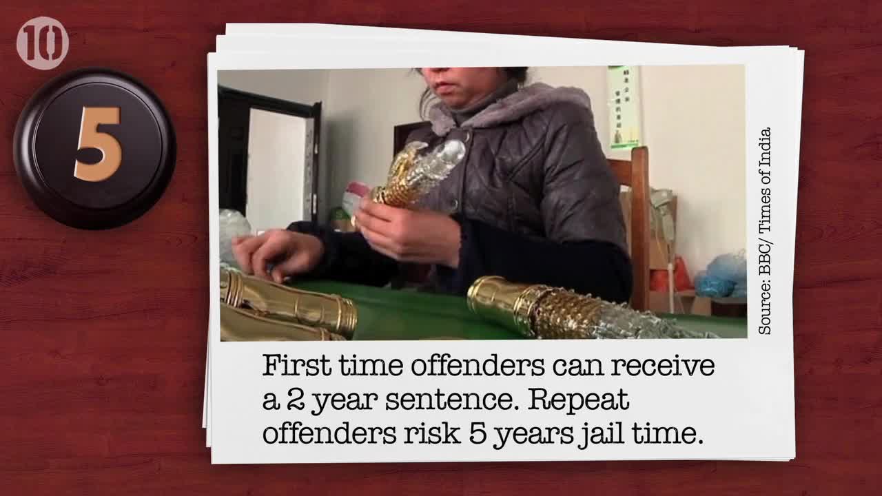 10 Crazy Laws From Around The World