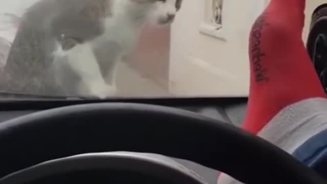 WATCH and TRY TO STOP LAUGHING - Super FUNNY VIDEOS compilation