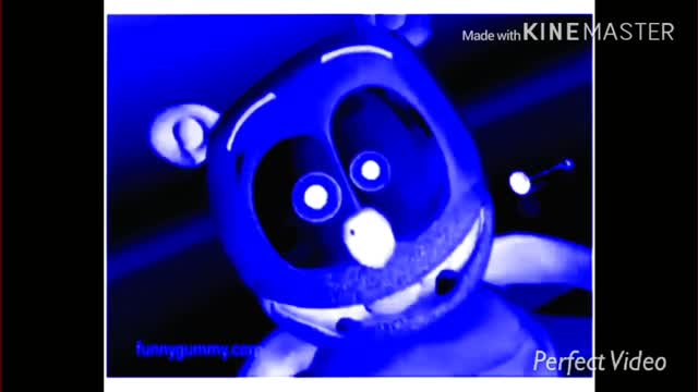 (These Views Will Never Stop)__Preview 2 Funny Bear 2019 Effects