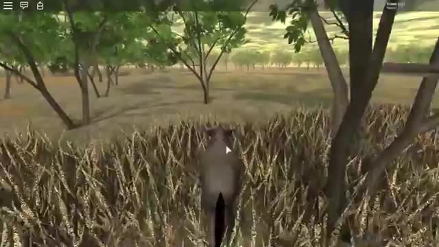 Wild Savannah - Nile Crocodile Hunts Blue Gnu (FAILED HUNT)_Cut.mp4