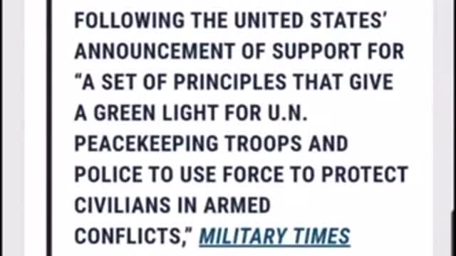 Executive Order Allowing UN Troops to use force on Americans