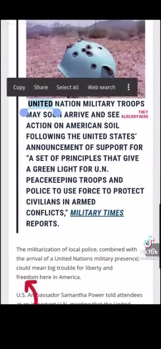 Executive Order Allowing UN Troops to use force on Americans