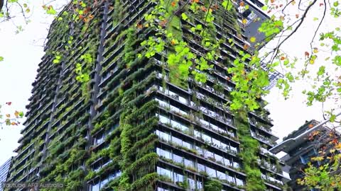 Green Buildings - The Future of Construction