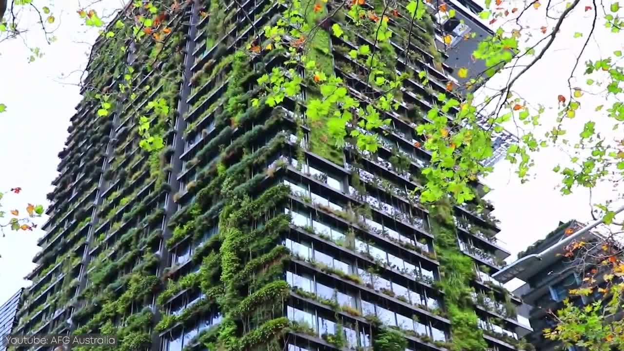 Green Buildings - The Future of Construction