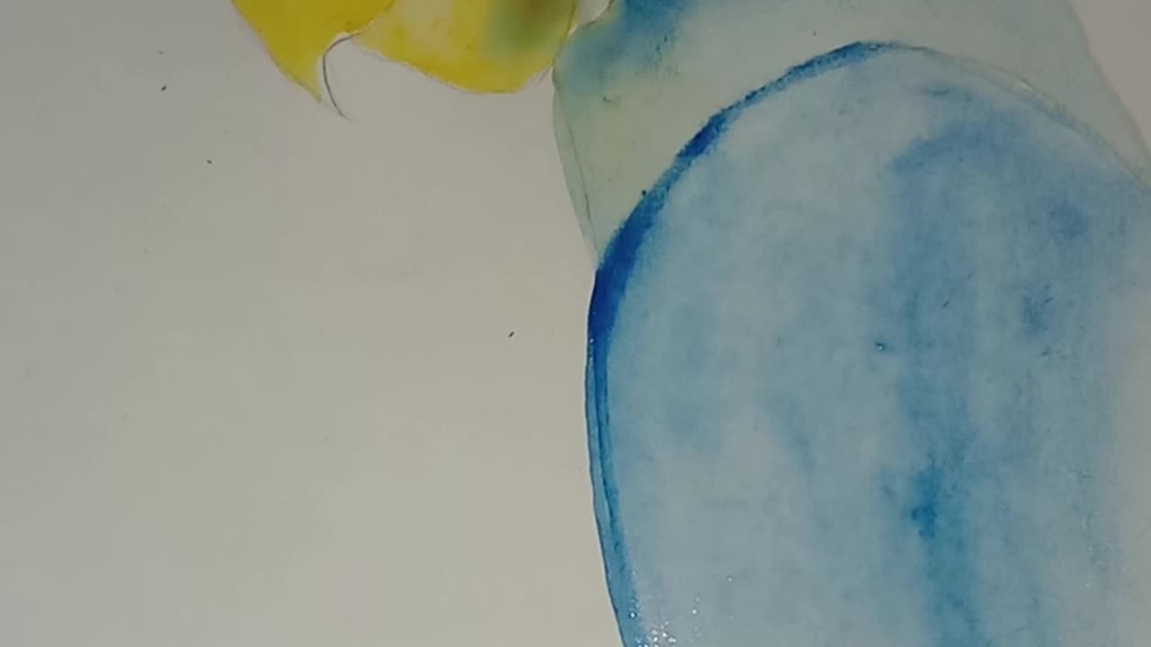 Macaw Watercolour Painting