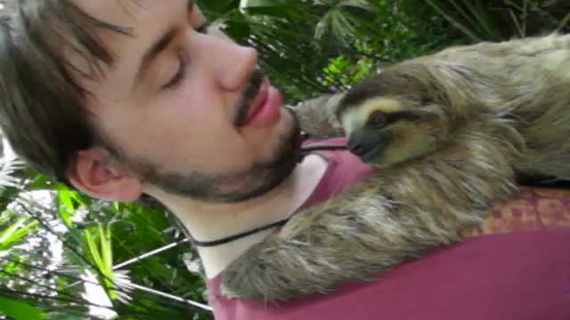 A Sloth-hug from 'Sunshine'