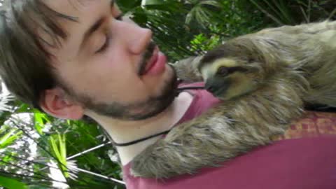 A Sloth-hug from 'Sunshine'