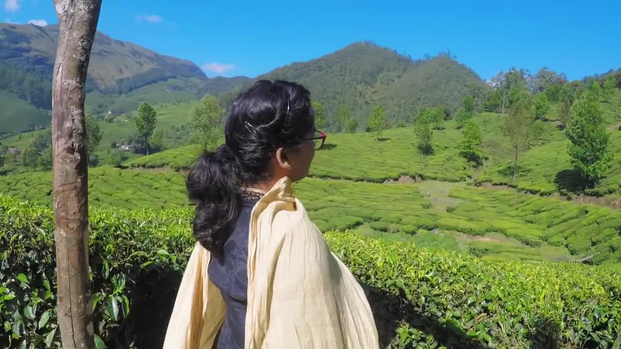 Dream catcher plantation resort munnar (India)