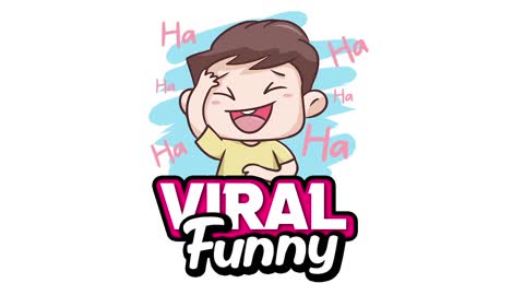 funny and interesting videos