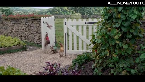 New Hollywood super hit movie scene Peter Rabbit #viral #youtube #movies