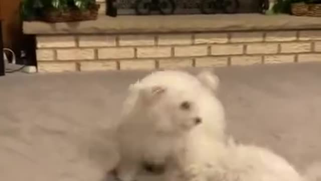 4.It was a feeling-Callie had never known🥺