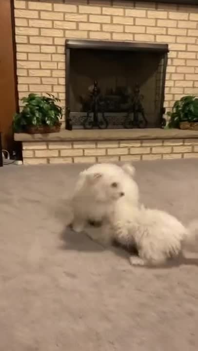 4.It was a feeling-Callie had never known🥺