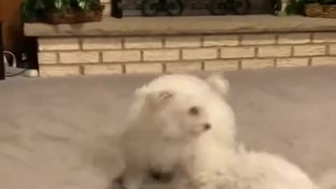 4.It was a feeling-Callie had never known🥺