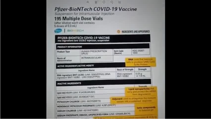 Pfizer-BioNTech COVID19 Vaccine Ingredients - Nanoparticles - The BORG signified future humans