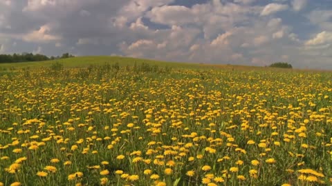 Looking into the clouds