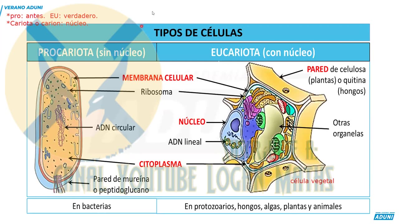 VERANO ADUNI 2023 | Semana 02 | Química P2 | Biología