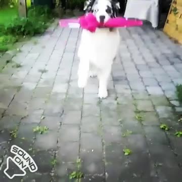 When it’s about to rain and you actually have an ready.