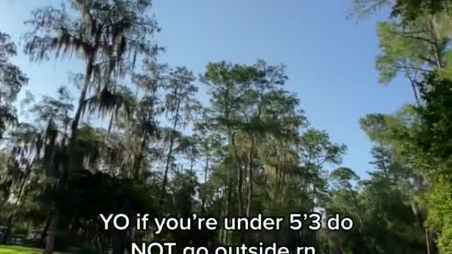 YO if you're under 5'3 do NOT go outside rn.i seen a hawk flying around