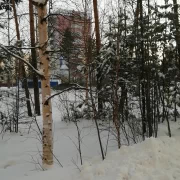 A snowy panorama in the city of Neryungri and it is the Russian Republic of Sakha Yakutia.