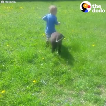 Kids Who Love Animals