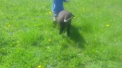 Kids Who Love Animals