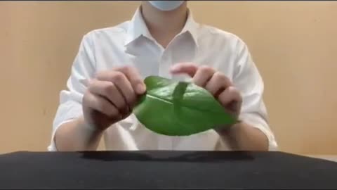 Magic trick