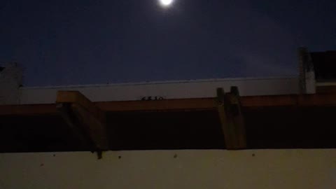 Full Moon - Luna Llena