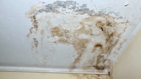 ALL US Mold Removal & Remediation Plano TX: Professional Solutions You Can Trust