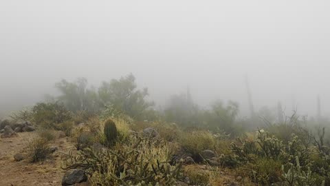 A Bit of Wind Today on the Saddle