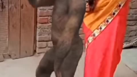 Monkey with dance, funny video 😂😂