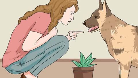 Stop your dog eating plants