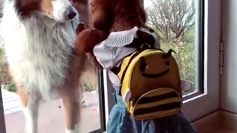 little teddy with backpack