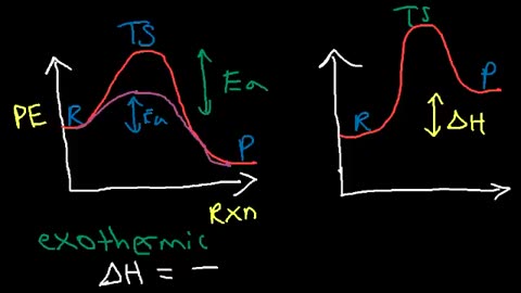 Potential Energy Diagrams - Chemistry - Catalyst, Endothermic & Exothermic Reactions
