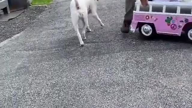 Girl with toy car