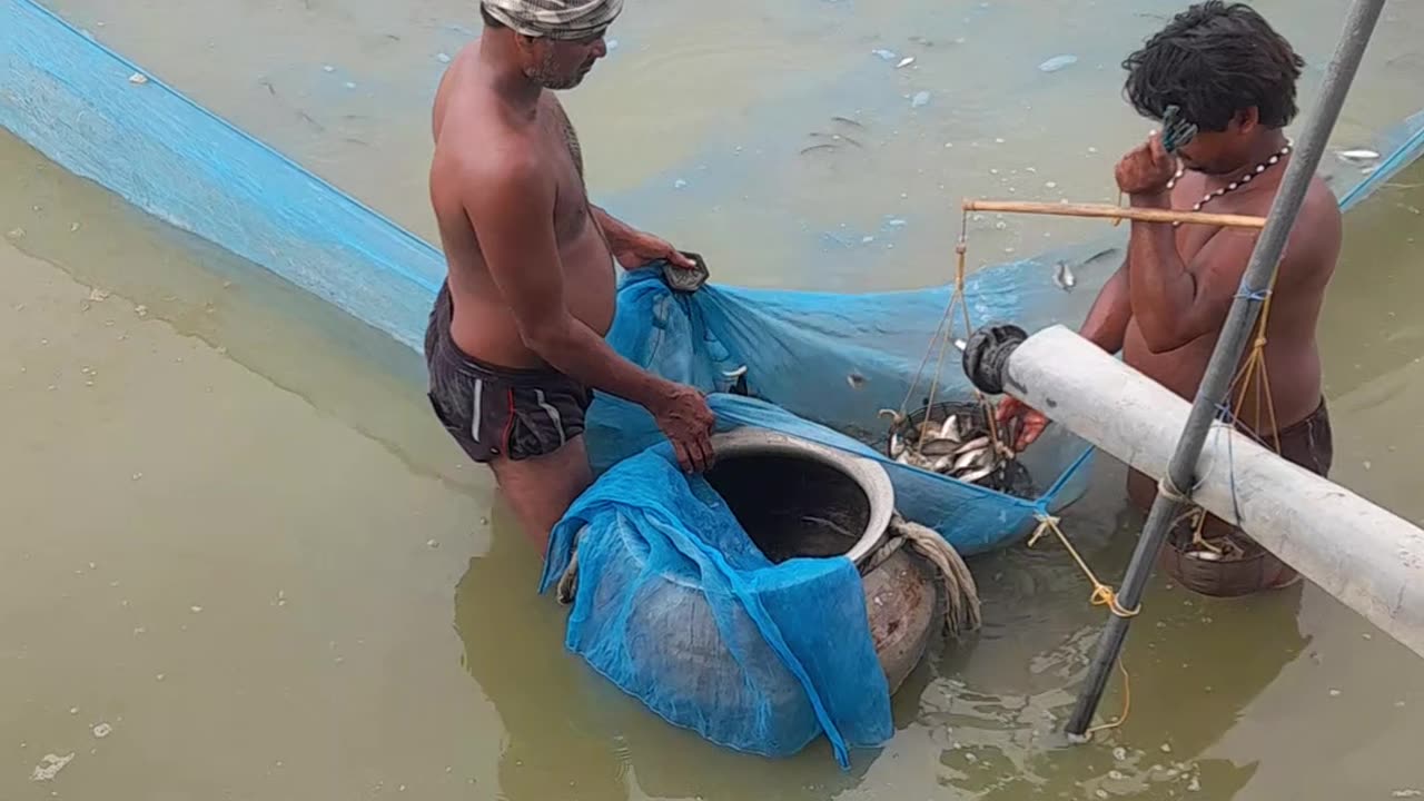 Fish farming