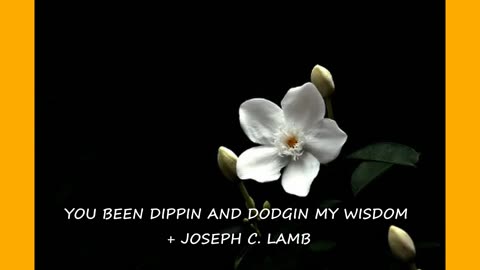 YOU BEEN DIPPIN AND DODGIN MY WISDOM + JOSEPH C. LAMB