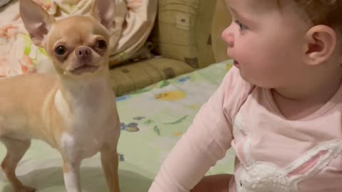 Baby and Dog Play Together