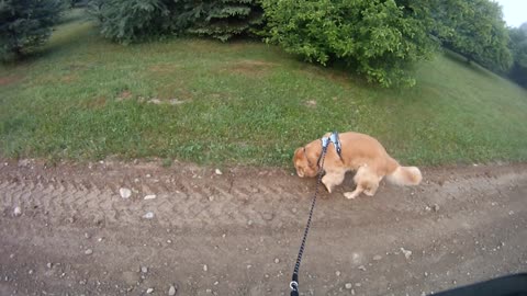 June 6th, 56º Flynn and I go South for a change