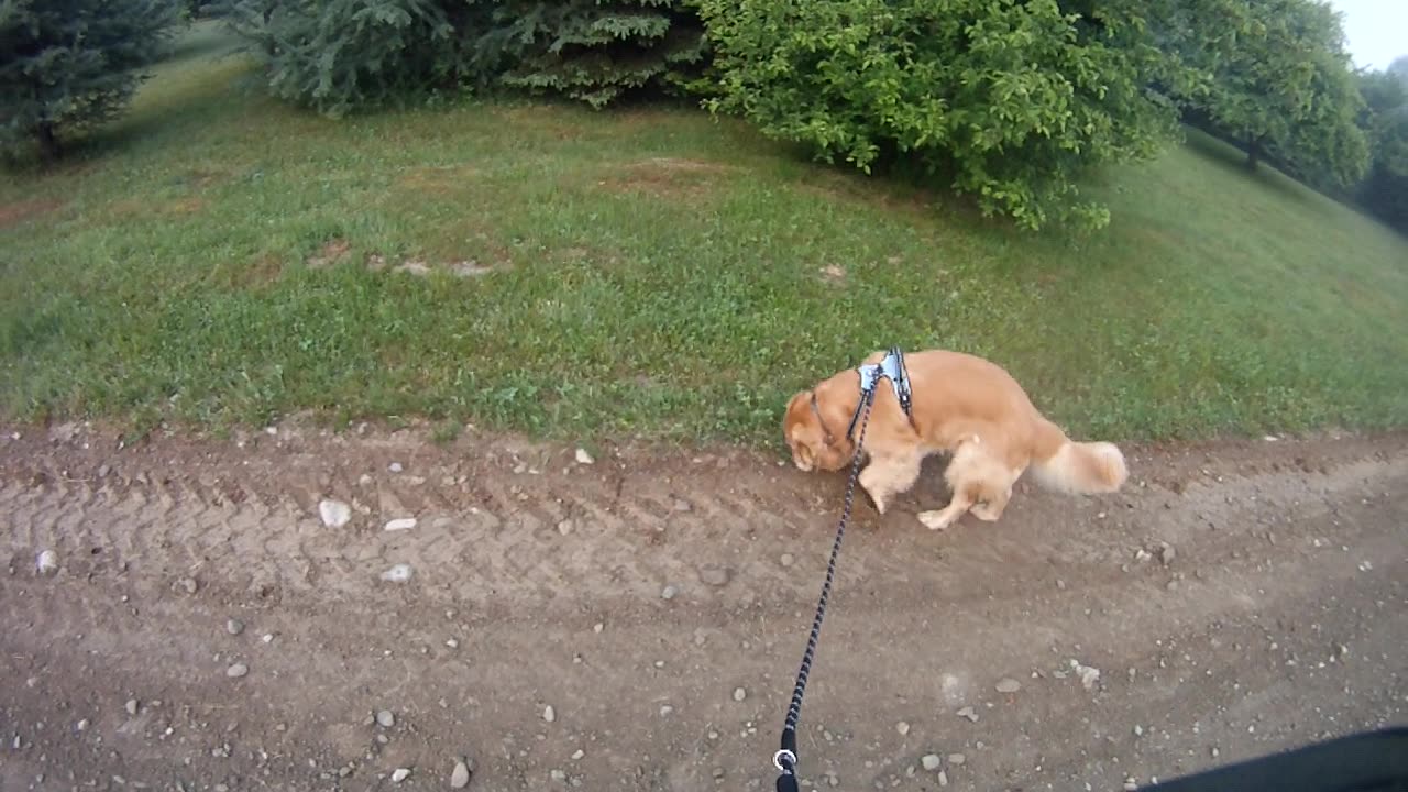 June 6th, 56º Flynn and I go South for a change