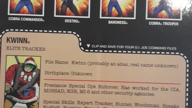 G.I. Joe Figure Kwinn