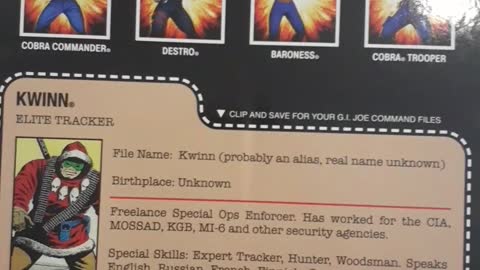 G.I. Joe Figure Kwinn