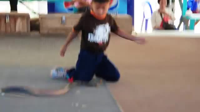 figfht between child ans snake