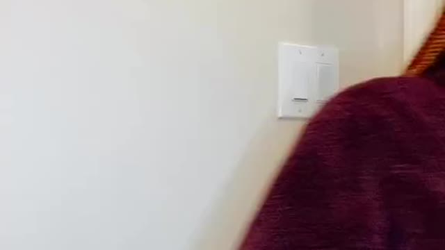 Funny Comedian
