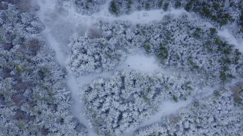 Snow in Germany