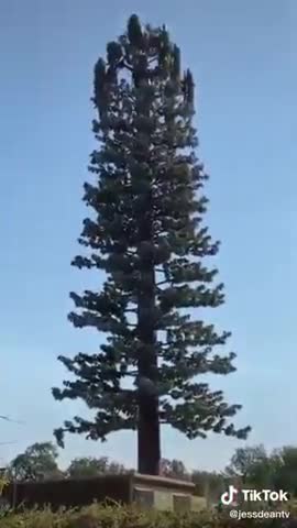 ZOBACZ JAK UKRYWAJĄ 5G - NA BANK MA TO COŚ Z DEPOPULACJĄ i DZIABNIĘCIAMI